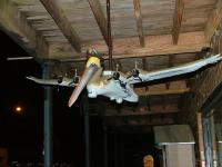 Name: realwarbird04.jpg
Views: 356
Size: 58.5 KB
Description: 