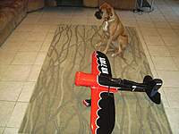 Name: SANY1207.jpg
Views: 464
Size: 134.5 KB
Description: Hemi and the "Bee Gee"