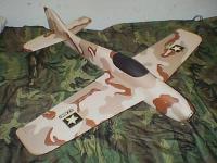 Formosa cammo1.JPG