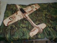 Formosa cammo.JPG