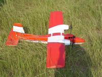 Name: Twinstar at the field.JPG
Views: 320
Size: 202.0 KB
Description: 