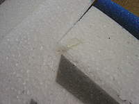 Name: DSC00178.jpg
Views: 479
Size: 53.0 KB
Description: 