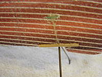 Name: DSC00067.jpg
Views: 293
Size: 89.9 KB
Description: I sealed the cuts on the sides with hot glue.