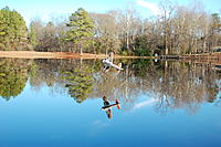 Name: cy16.jpg
Views: 375
Size: 272.2 KB
Description: 