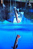 Name: cy3.jpg
Views: 419
Size: 171.0 KB
Description: 