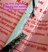Name: buzz_zn_wing_15.jpg
Views: 404
Size: 65.9 KB
Description: 