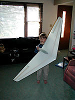 Name: flying wing molded.jpg
Views: 310
Size: 170.1 KB
Description: 