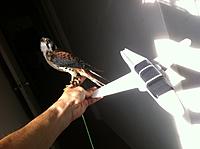 Name: IMG_0472.jpg
Views: 93
Size: 114.1 KB
Description: 
