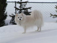 Name: what snow.JPG
Views: 143
Size: 74.5 KB
Description: 