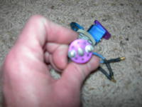 DSCN7279.jpg