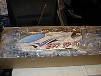 Name: Hobby King EPP FPV Plane 004.jpg
Views: 460
Size: 71.1 KB
Description: 