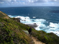 Name: IMG_7341.JPG
Views: 206
Size: 136.1 KB
Description: 
