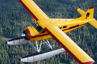 Name: beavercharter.jpg
Views: 345
Size: 27.8 KB
Description: no corrugations on the ailerons