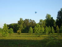 Name: HangGlider017.jpg
Views: 68
Size: 98.1 KB
Description: turns are very responsive with the rudder in the propwash...climbs like it's on an elevator when turned into the wind..