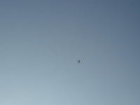 Name: HangGlider022.jpg
Views: 72
Size: 13.4 KB
Description: here ya go.. one on the telephoto lens! gets so small, the only way you can tell which way it's pointed, is it's moving that direction! you can just cut the throttle, or spiral down in a hard turn..