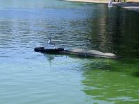 Name: DSC03861.jpg
Views: 110
Size: 113.2 KB
Description: Coming in on the Pono