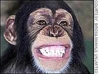 Name: th_funny_monkey1.jpg
Views: 22
Size: 9.4 KB
Description: 