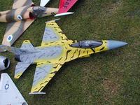 Name: tiger-f16.jpg
Views: 91
Size: 36.5 KB
Description: 