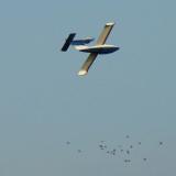 Flying higher than the birds