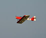 DSC_1132a.jpg
