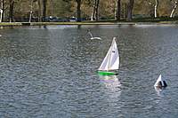 Name: first_sail_2.jpg
Views: 60
Size: 103.3 KB
Description: 