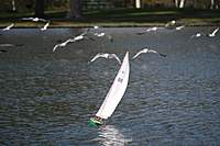 Name: first_sail_4.jpg
Views: 81
Size: 62.3 KB
Description: 