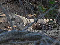 Name: SAM_3014.jpg
Views: 77
Size: 225.1 KB
Description: 