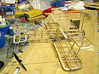 Name: IMG_7242.jpg
Views: 69
Size: 301.2 KB
Description: Bones