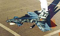 Name: stealthsky fighter.jpg
Views: 98
Size: 29.3 KB
Description: 