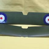 The lower wing is forward.