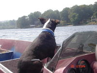 Name: DSC01745.jpg
Views: 129
Size: 91.2 KB
Description: 