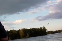 Name: 100_2407 (Medium).JPG
Views: 1083
Size: 43.2 KB
Description: 