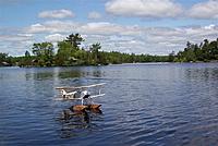 Name: 100_3235 (Medium).JPG
Views: 176
Size: 64.6 KB
Description: 