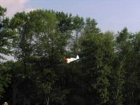 Name: p40 foamie 2.jpg
Views: 3205
Size: 74.1 KB
Description: 