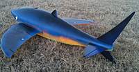 Name: Flying_Shark_1.jpg
Views: 52
Size: 120.9 KB
Description: 