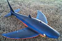 Name: Flying_Shark_2.jpg
Views: 44
Size: 57.5 KB
Description: 