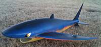 Name: Flying_Shark_3.jpg
Views: 59
Size: 96.8 KB
Description: 