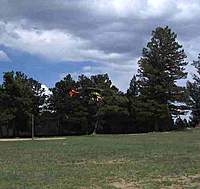 Name: Genese mountain park.jpg
Views: 89
Size: 17.1 KB
Description: Blade 400 at Genese mountain park