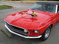 Name: Blade Stang.jpg
Views: 82
Size: 37.3 KB
Description: 