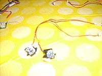 Name: DSCI1794.jpg
Views: 91
Size: 118.8 KB
Description: 