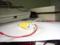 Name: dcp_0869.jpg
Views: 238
Size: 96.6 KB
Description: 