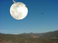 Name: moonsloping.jpg
Views: 871
Size: 91.4 KB
Description: 