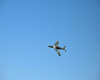 Name: adys_zooksyager_20110320_1551070314.jpg
Views: 63
Size: 30.4 KB
Description: 