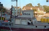 Name: orca1980.jpg
Views: 85
Size: 70.6 KB
Description: At Universal Studios, possibly circa 1980.