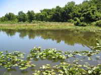 Name: 100-00050_IMG.jpg
Views: 127
Size: 59.0 KB
Description: 