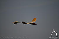 Name: IMG_5883.jpg
Views: 92
Size: 94.0 KB
Description: 
