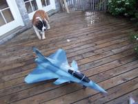 Name: rafale 2.jpg
Views: 342
Size: 46.9 KB
Description: 