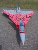 Name: 100_3596.jpg
Views: 291
Size: 142.8 KB
Description: Electric Grippen ,Dynamax Fan 10 Cells
