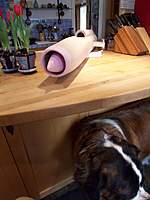 Name: 100_3763.jpg
Views: 235
Size: 60.5 KB
Description: Big Ella love plane