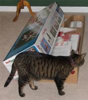 Name: 001.jpg
Views: 855
Size: 88.9 KB
Description: Sir Boomer is doing a walk around inspecting for any damage in shipping.  As I expected however, there is NONE!!  They do a great job of securing everything.